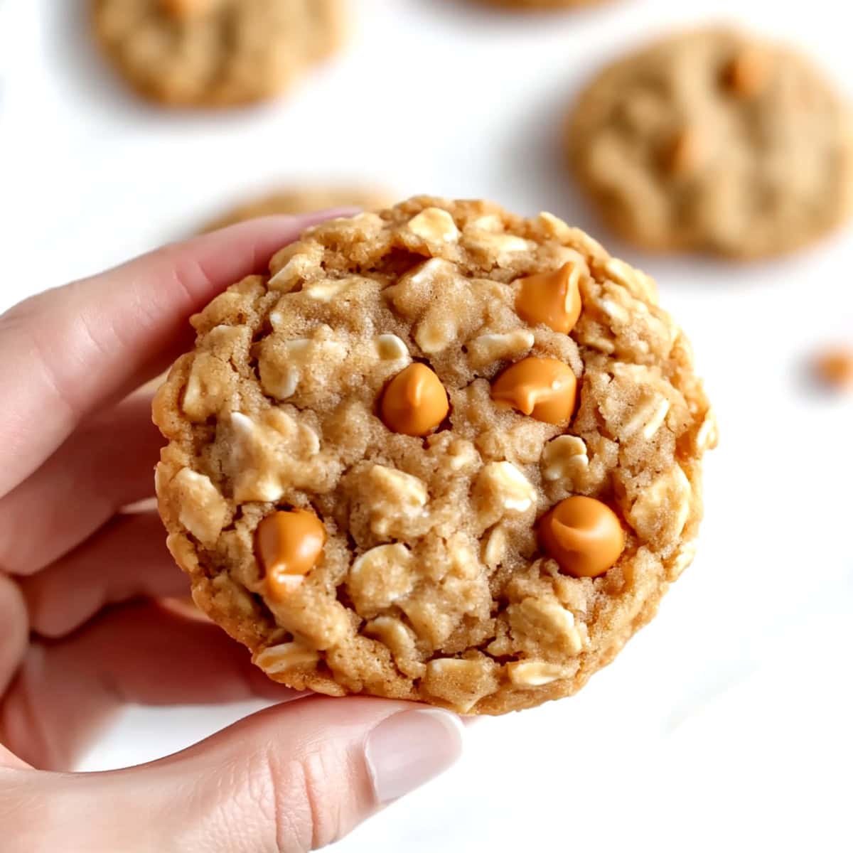 A hand holding a piece of oatmeal scotchies with butterscotch chips.