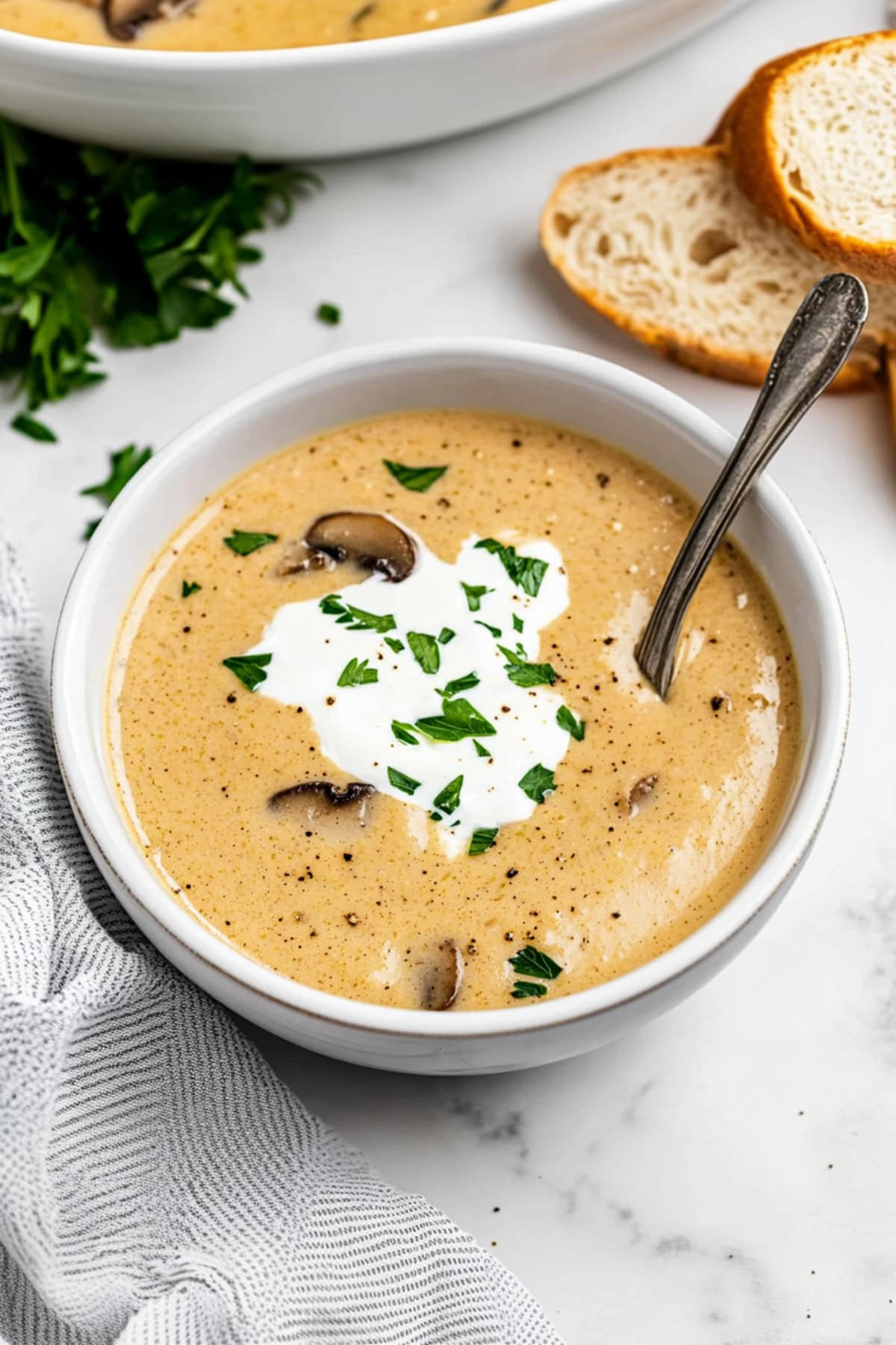 Hungarian mushroom soup with parsley and sour cream, bread on the side.