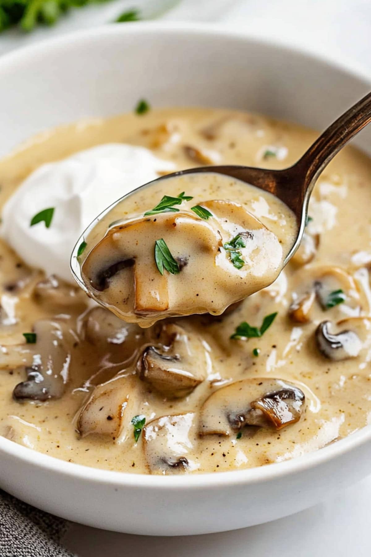 A spoonful of hungarian mushroom soup with parsley.