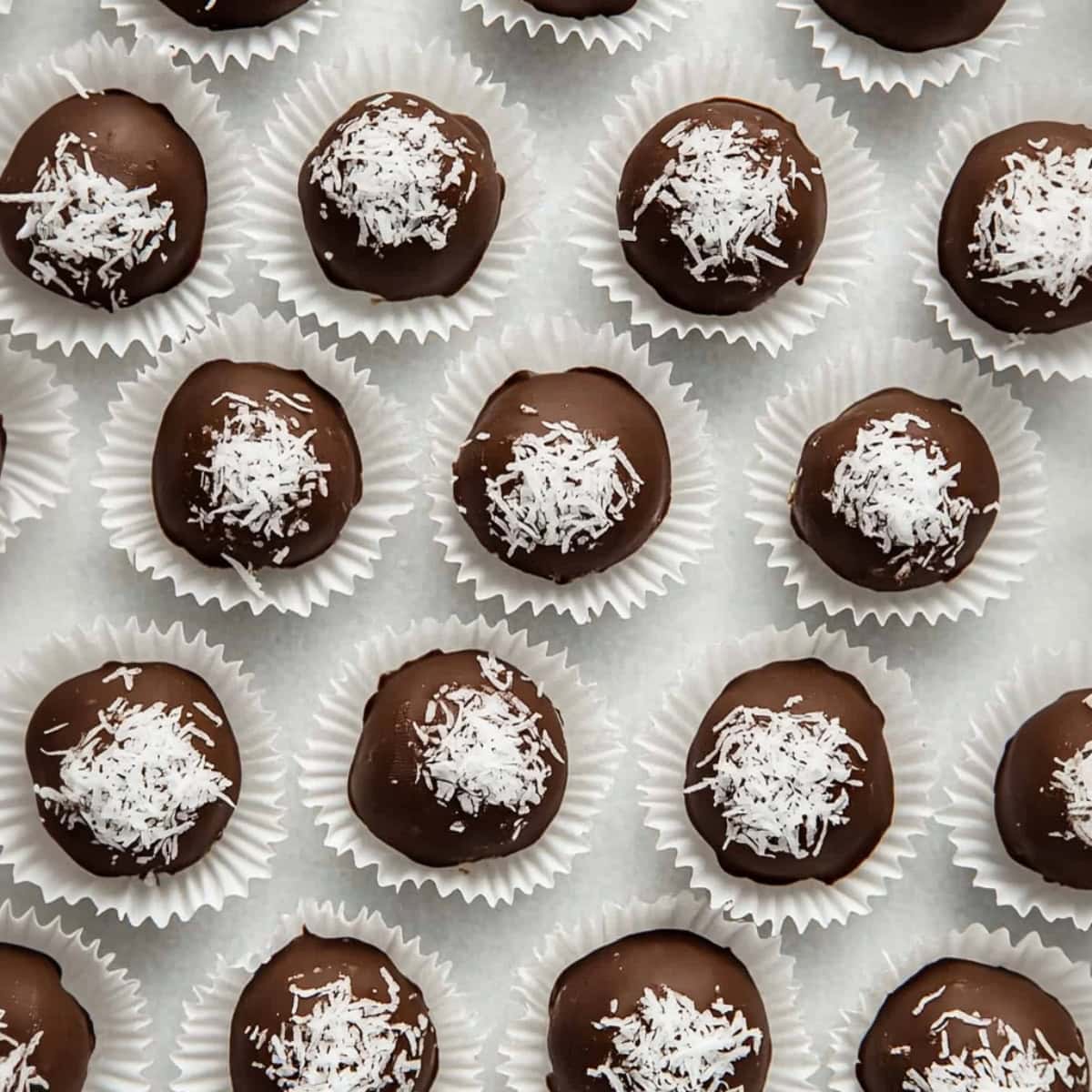 An overhead view of Martha Washington chocolate candy topped with shredded coconut.