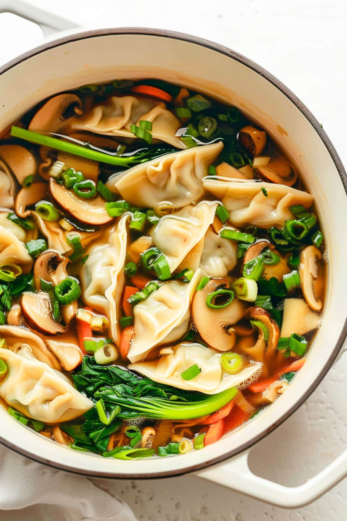 Dumplings cooked in chicken broth with carrots, mushroom, bok choy and green onions.