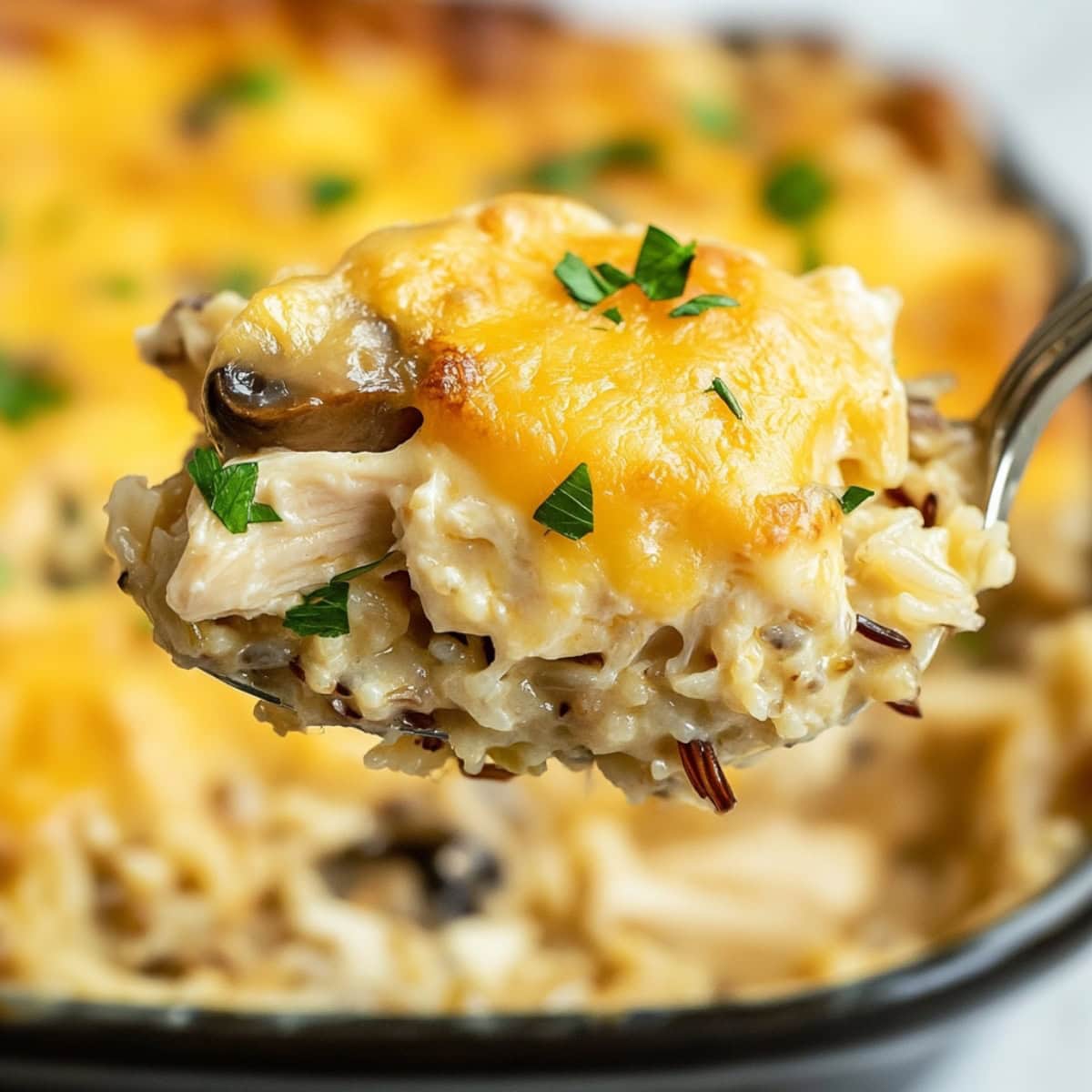 A spoonful of chicken wild rice casserole with mushrooms and garnished with parsley.