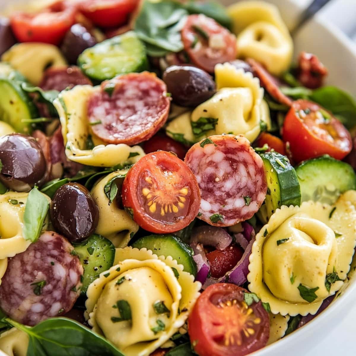 Tortellini pasta with  tomatoes, cucumber, red onion, olives, mozzarella, salami, Parmesan, spinach, and basil tossed in dressing served in a white bowl.