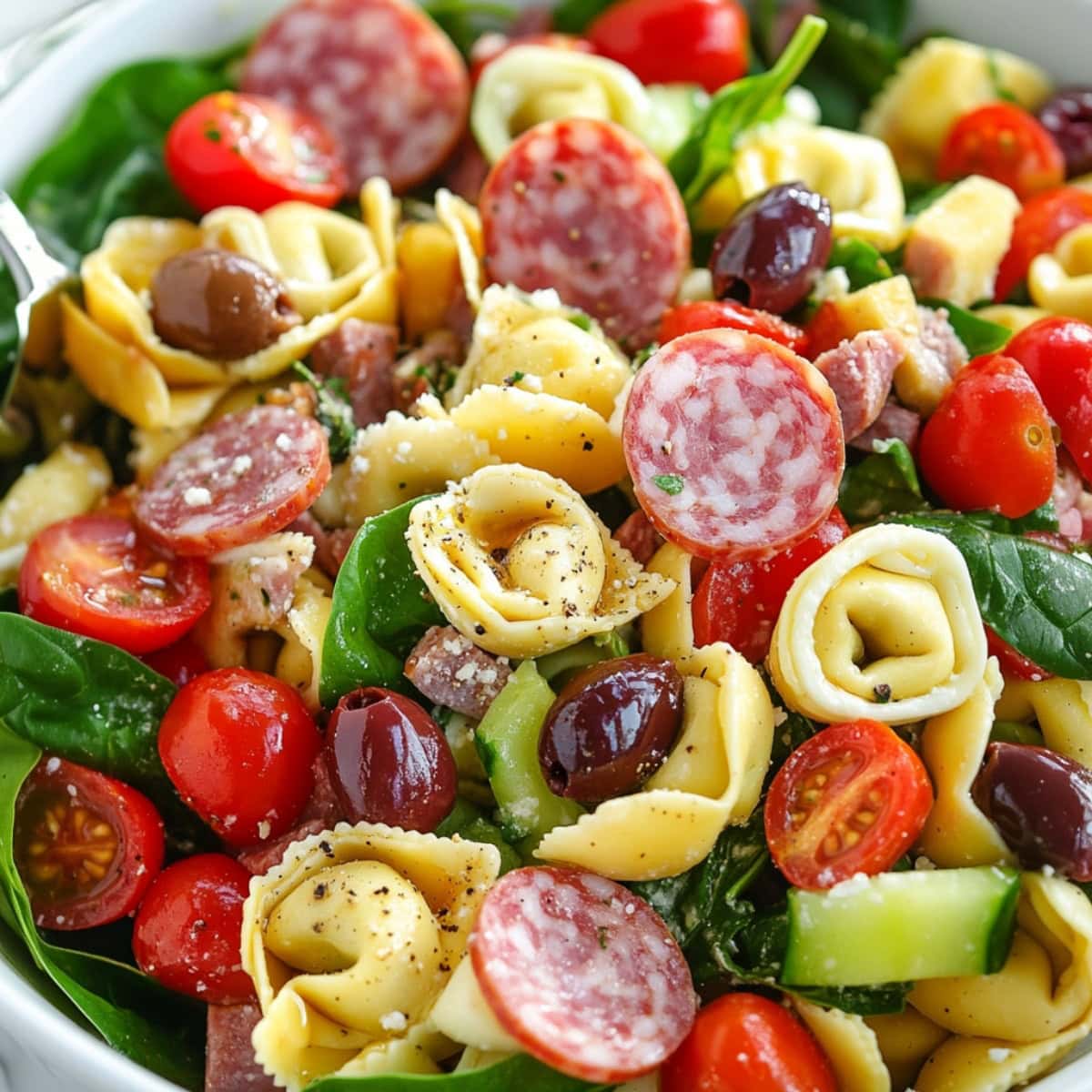 Salad with tortellini pasta,  tomatoes, cucumber, red onion, olives, mozzarella, salami, Parmesan, spinach, and basil tossed in dressing served in a white bowl.