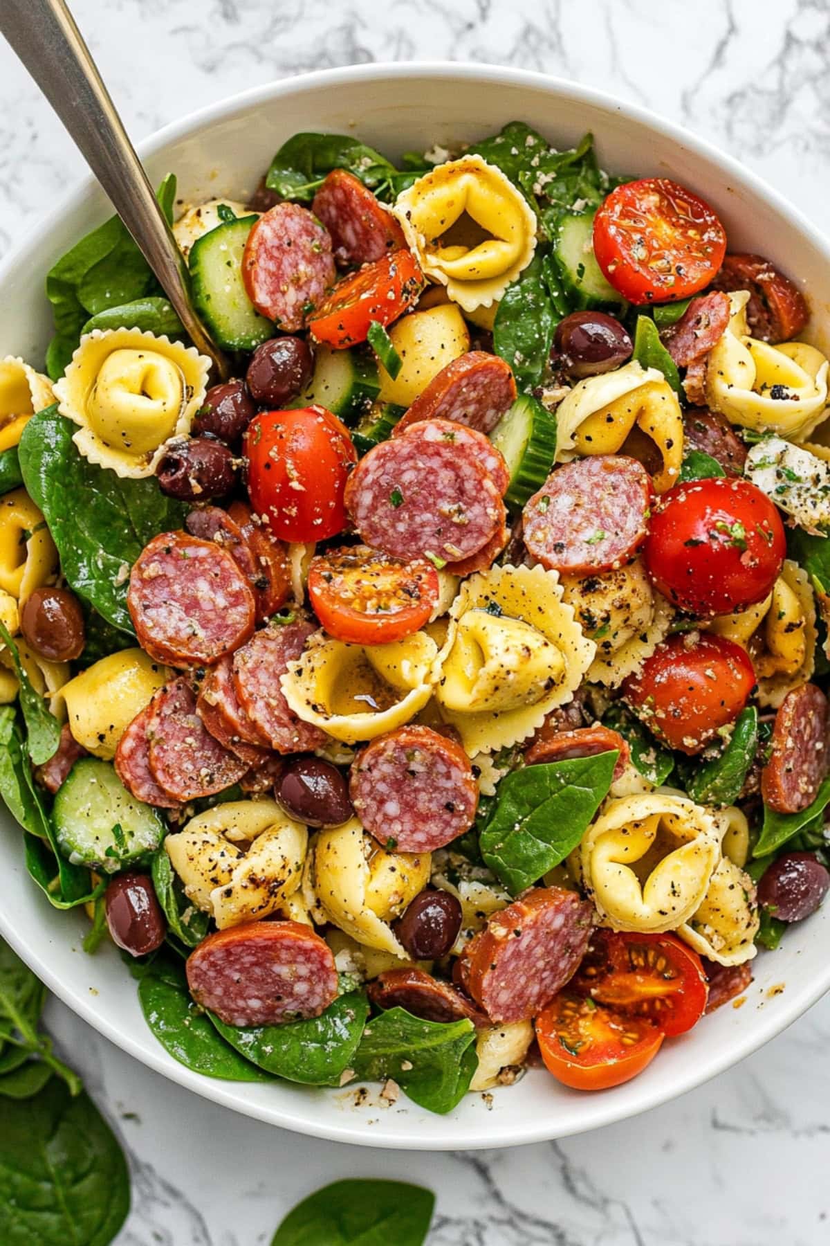 Tortellini pasta salad with chopped  tomatoes, cucumber, red onion, olives, mozzarella, salami, Parmesan, spinach, and basil in a white bowl.