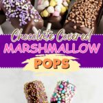 Chocolate Covered Marshmallow Pops