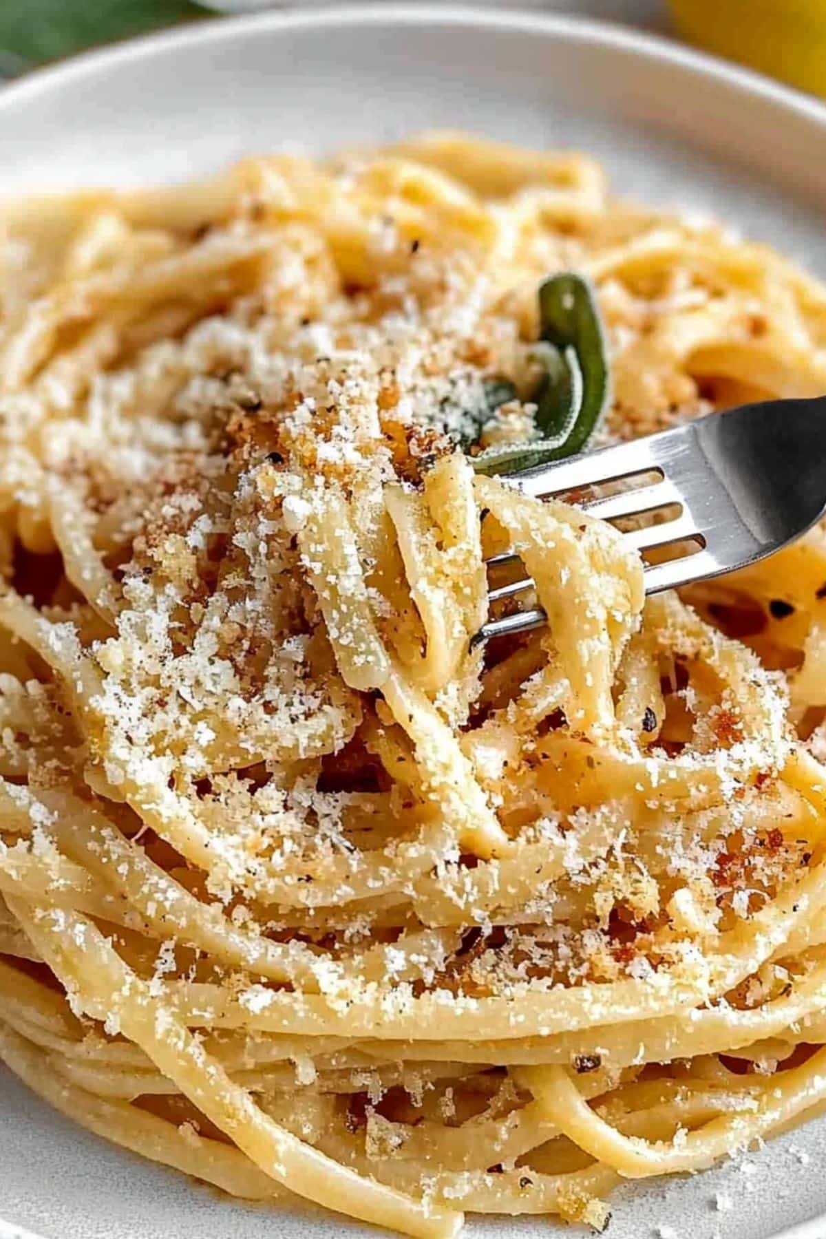 Linguine pasta with sage tossed in buttery and cheesy sauce garnished with grated Parmigiano Reggiano cheese served in a white plate.