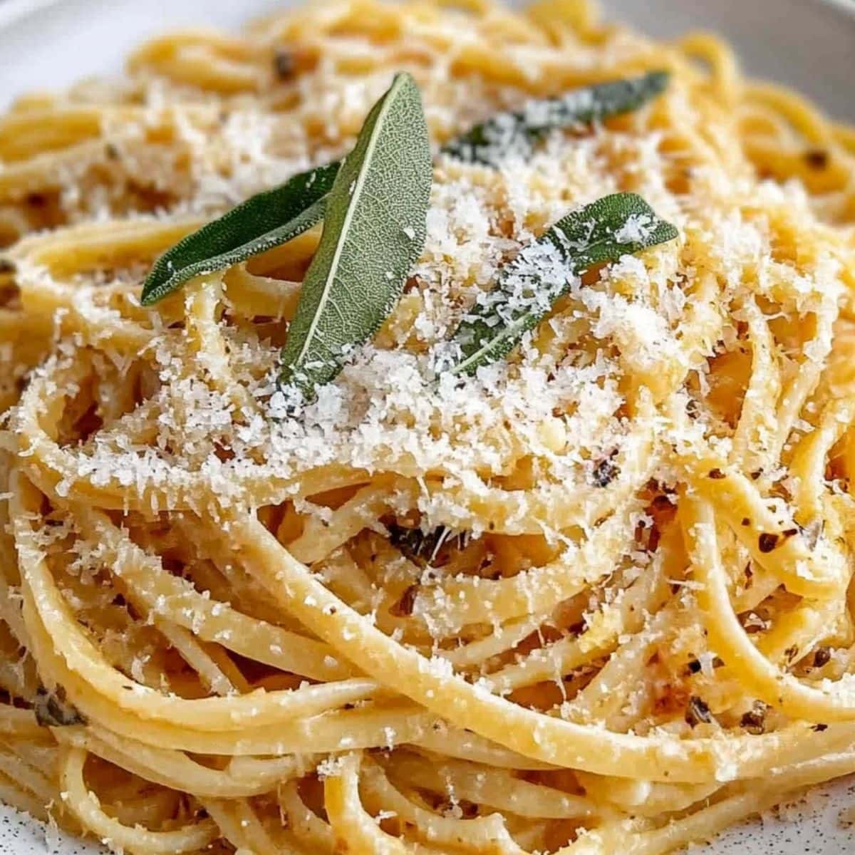 Creamy pasta with buttery sauce served in a white plate with grated cheese and sage leaves garnish.