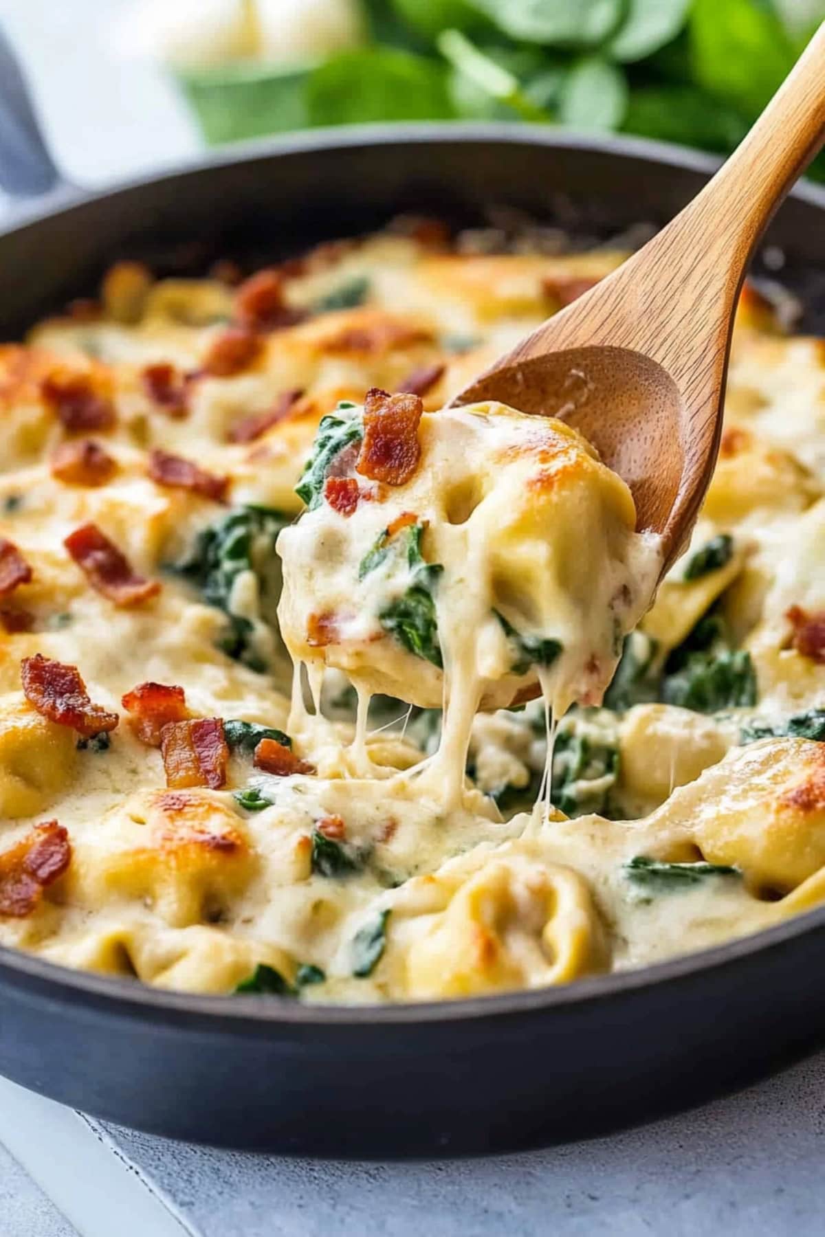 Cheesy and creamy tortellini pasta cooked in white sauce, chopped bacon and spinach.