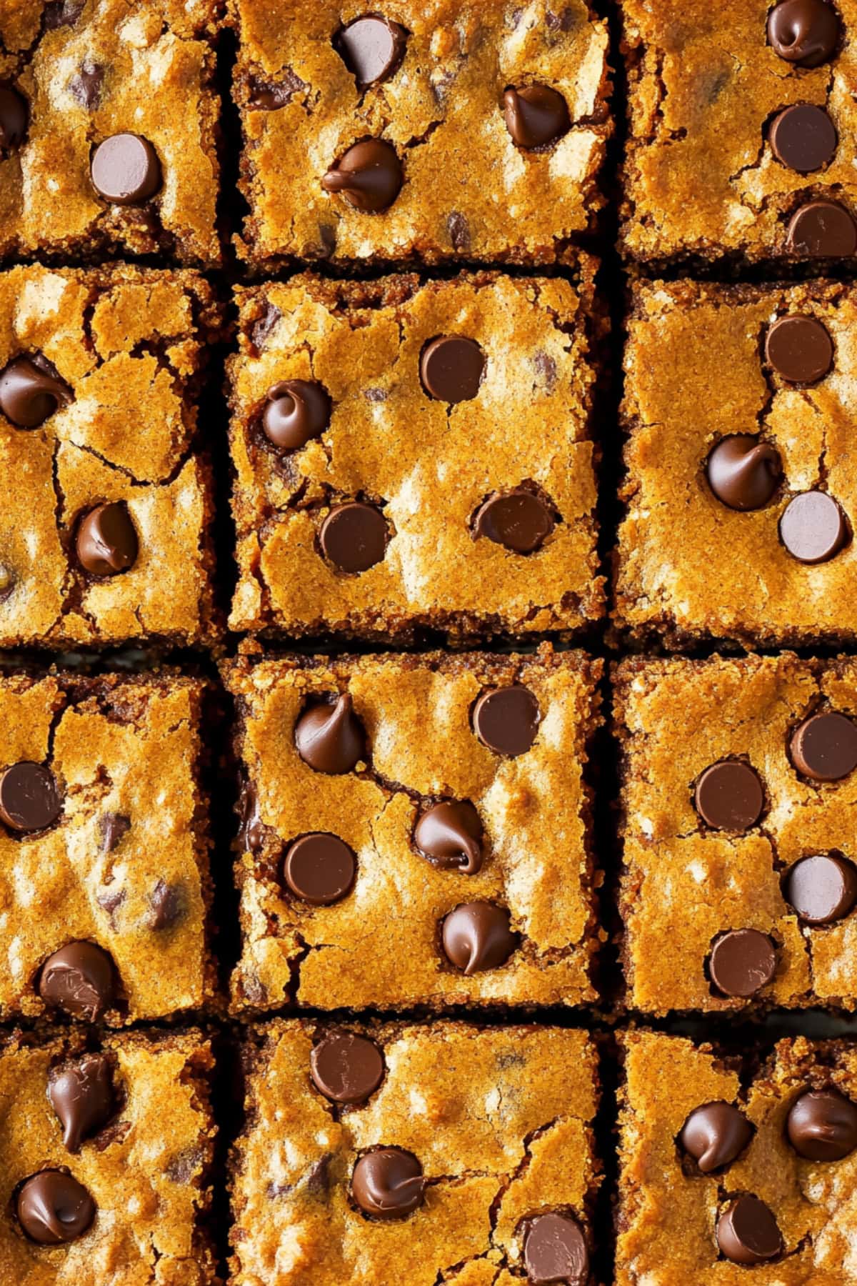 A batch of pumpkin blondies with chocolate chips, overhead view.